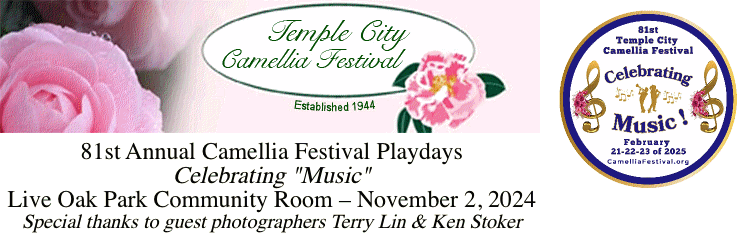 camelliafestival1