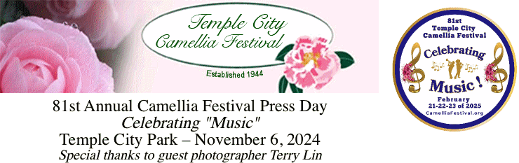 camelliafestival1