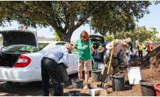 Compost080925